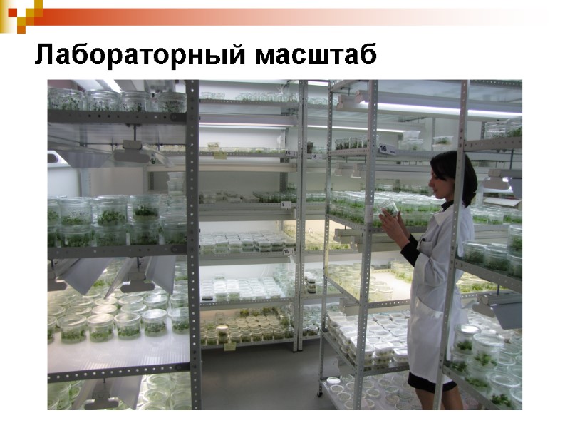 Лабораторный масштаб